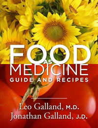 Food As Medicine Guide and Recipe Book